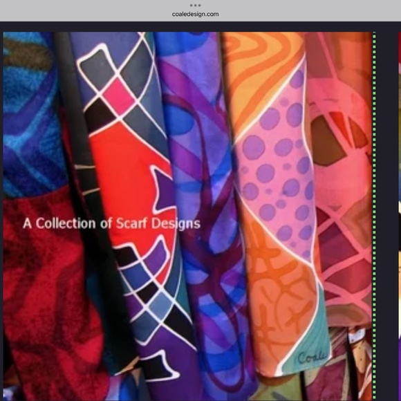 Coale Elegant Abstract Hand painted dyes on silk Scarf - Picture 10 of 10